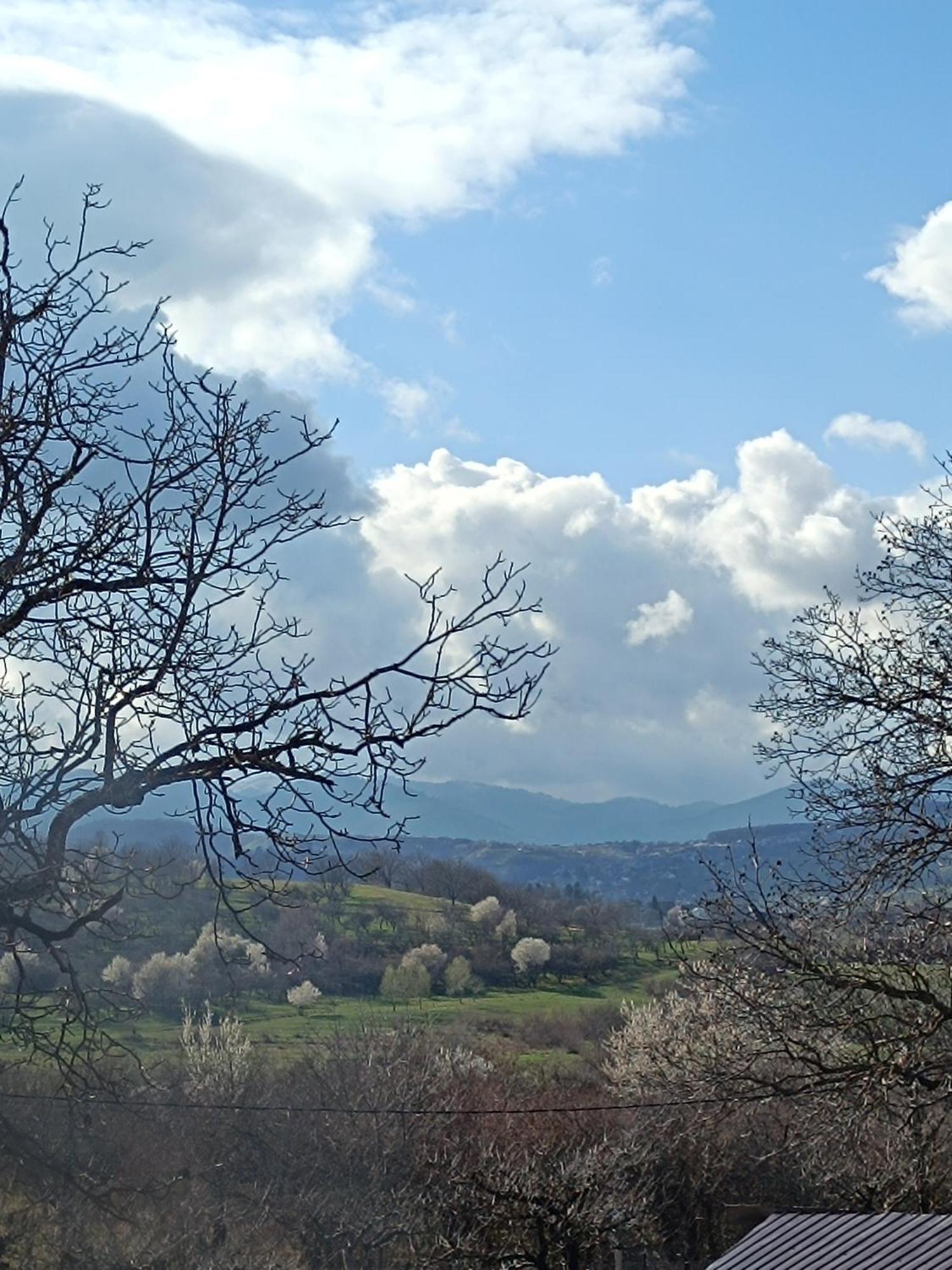 Casa Tonyza Cisnadie