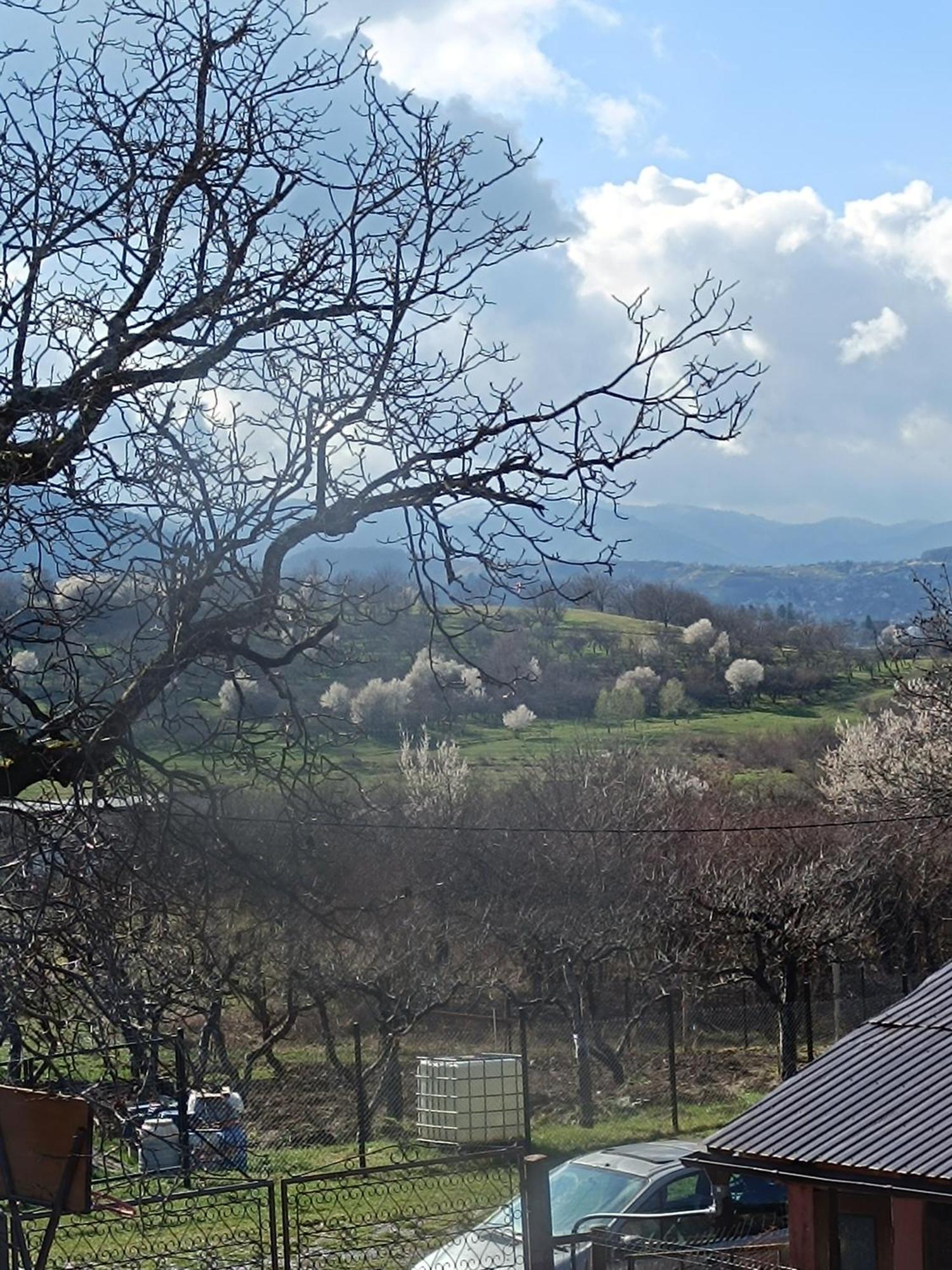 Casa Tonyza