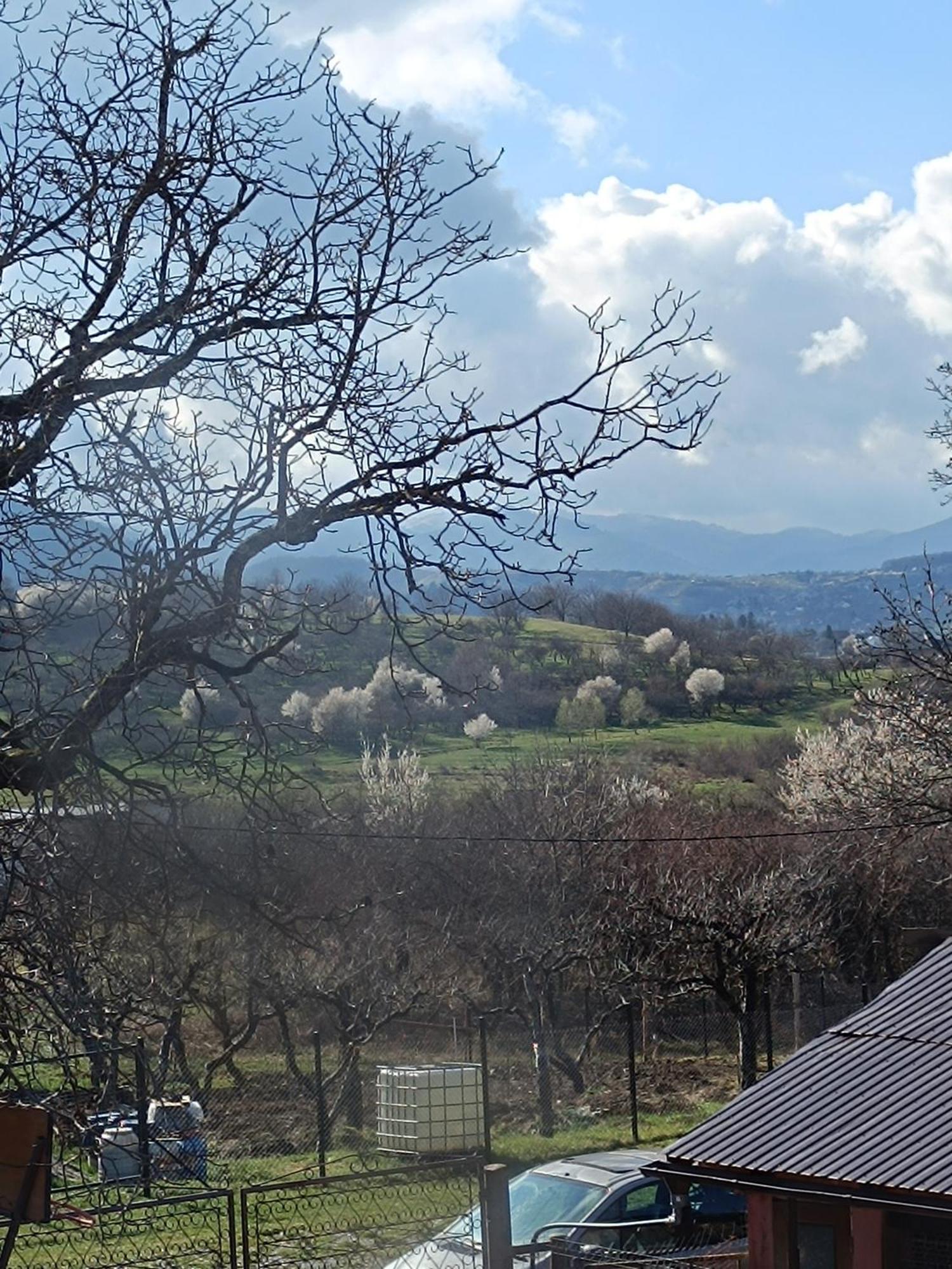 Casa Tonyza *