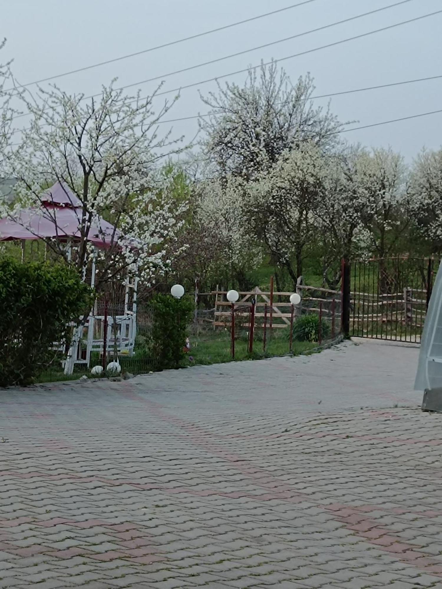 Casa Tonyza * Cisnadie